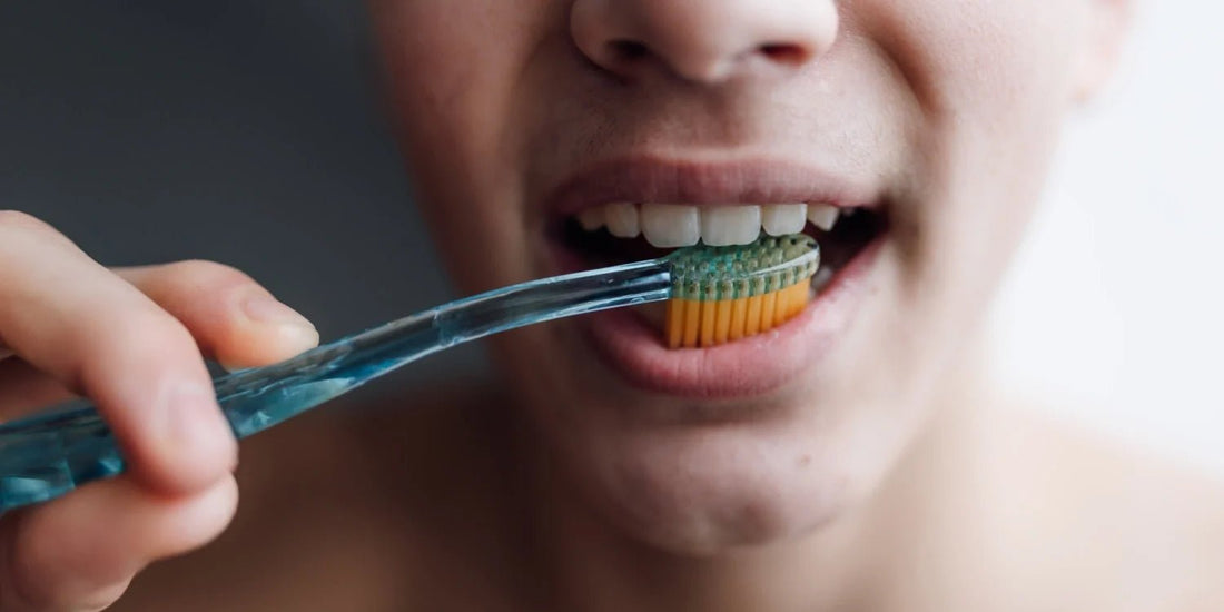The Science Behind Microplastic Toothbrushes: What's Actually in Your Mouth Every Morning - BAMBRUSH