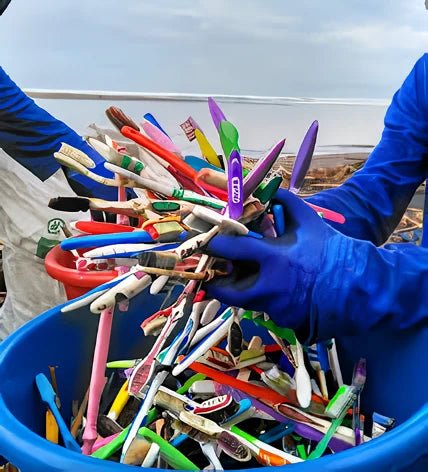 How Long Does a Bamboo Toothbrush Actually Take to Biodegrade? - BAMBRUSH