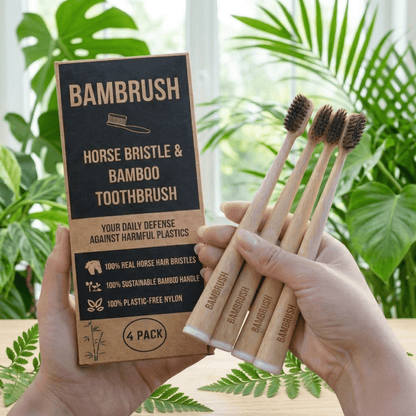 Horse Bristle & Bamboo Toothbrush (4 Pack) - BAMBRUSH